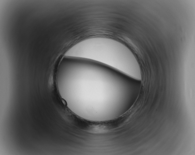 X0000099450500200805090730