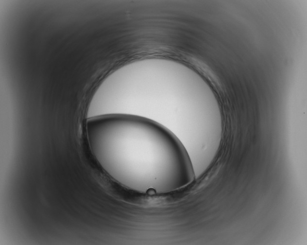 X0000099450501200805090730