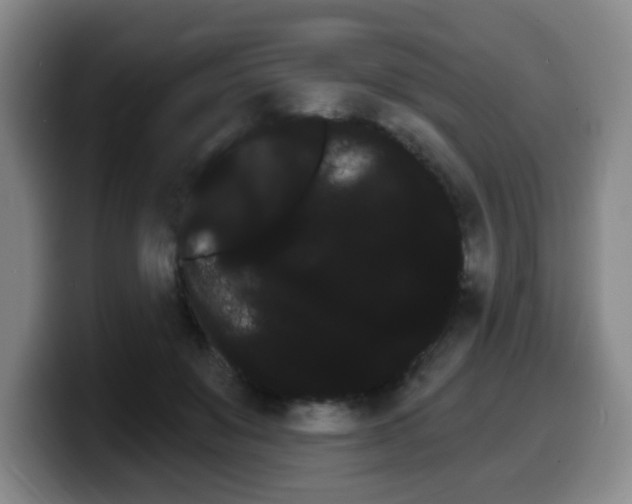 X0000099450503200805090730