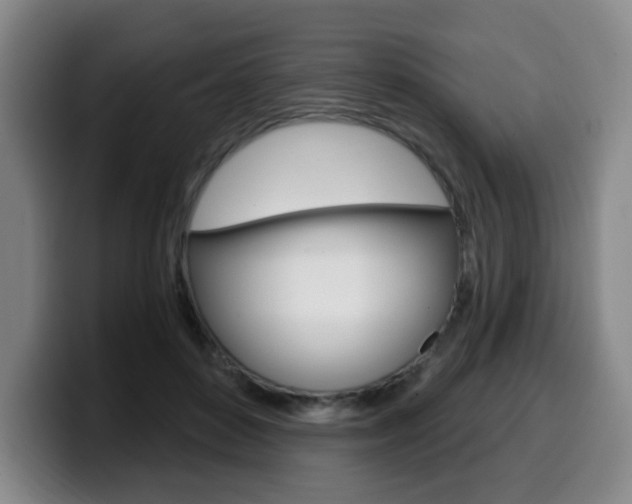X0000099450504200805090730