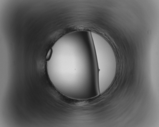 X0000099450505200805090730