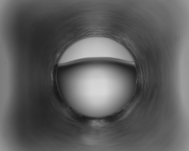 X0000099450508200805090730