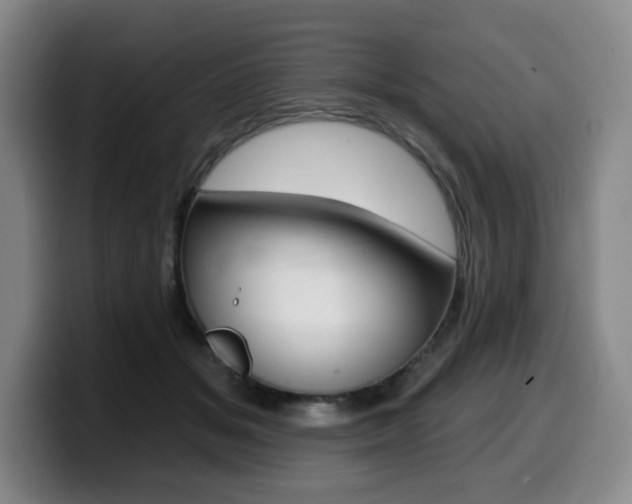 X0000099450509200805090730