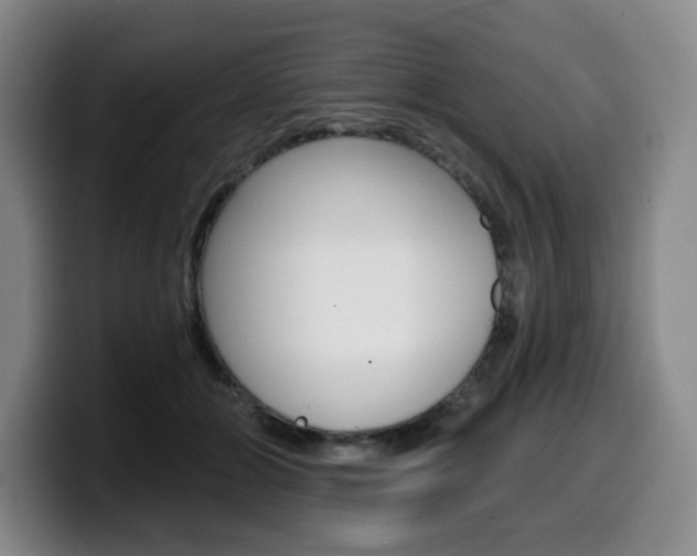 X0000099450510200805090730