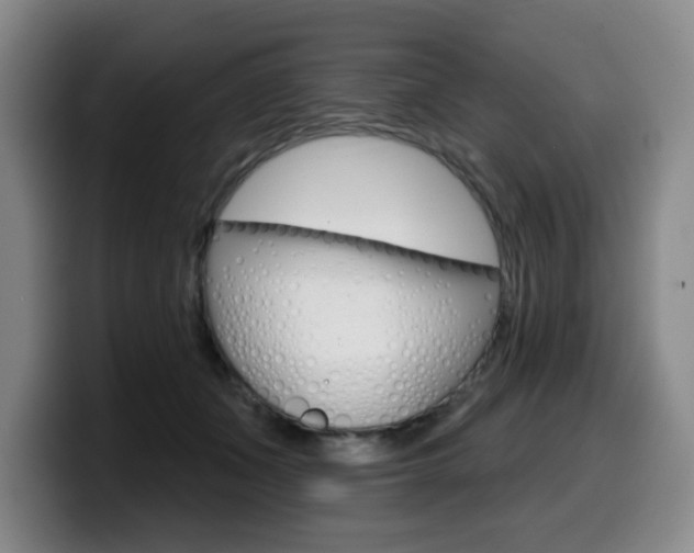 X0000099450511200805090730