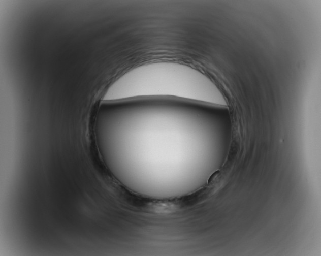 X0000099450512200805090730