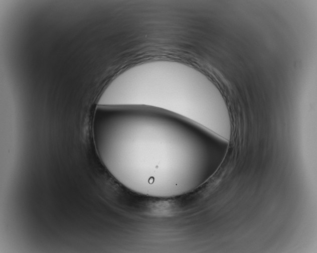 X0000099450513200805090730