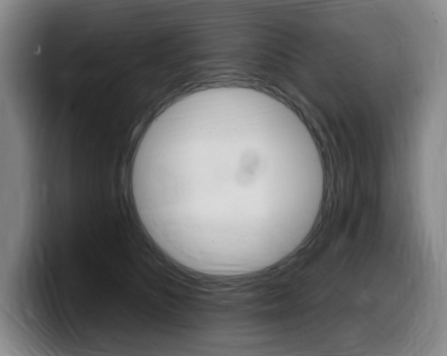 X0000099450516200805090730