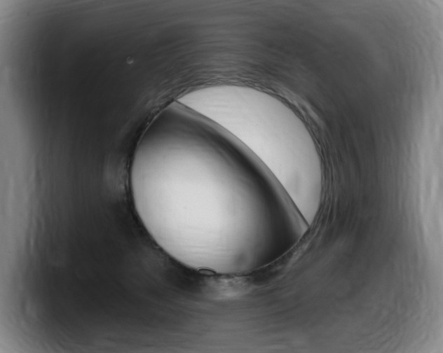 X0000099450517200805090730