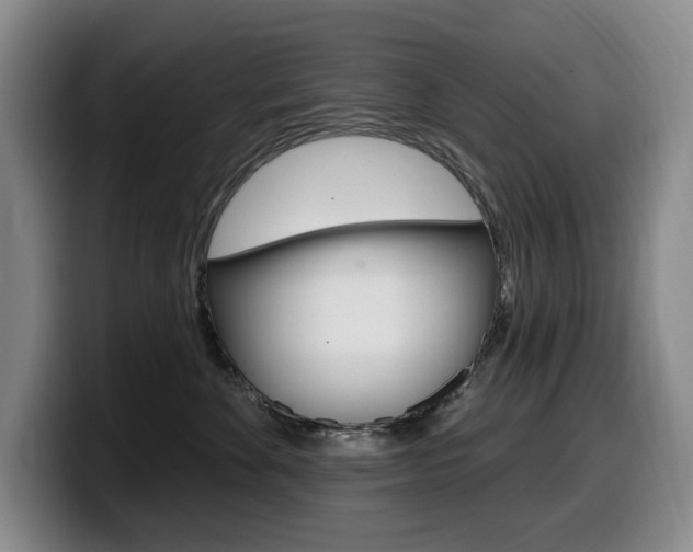 X0000099450524200805090730