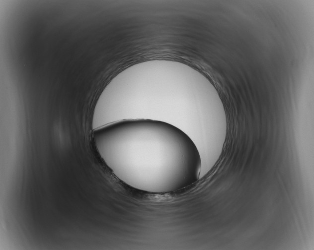 X0000099450525200805090730