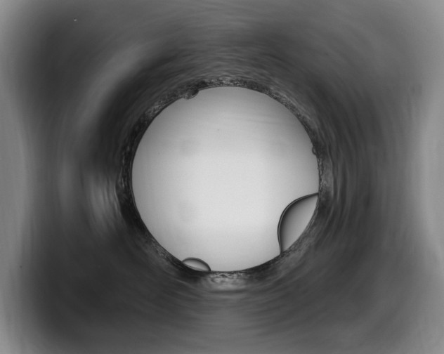 X0000099450526200805090730