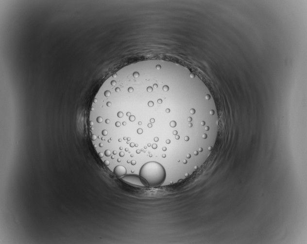 X0000099450527200805090730