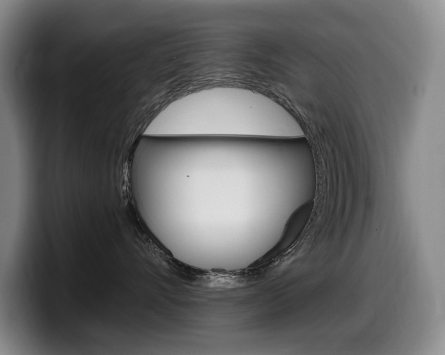 X0000099450528200805090730