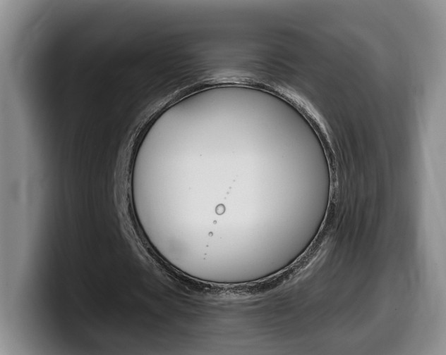 X0000099450529200805090729