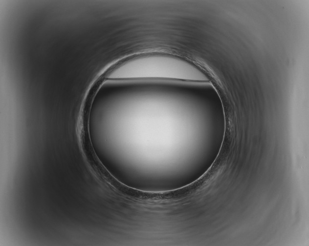 X0000099450532200805090729