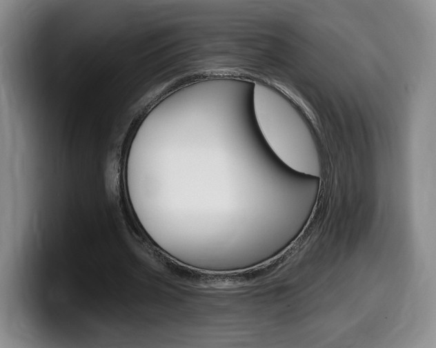 X0000099450533200805090729