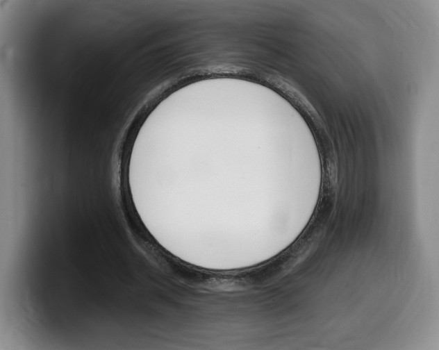 X0000099450534200805090729