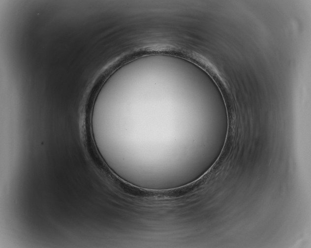 X0000099450535200805090729