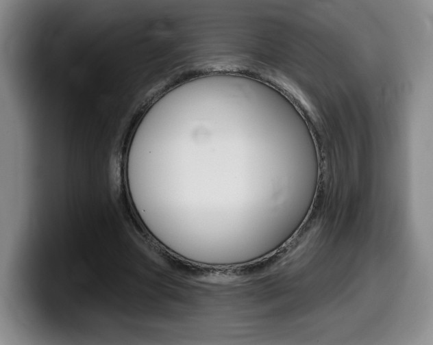X0000099450537200805090729