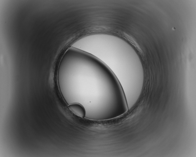 X0000099450538200805090729