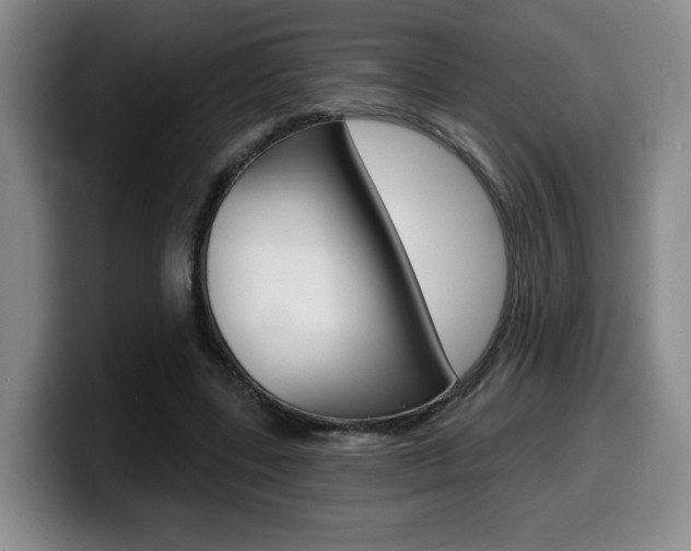 X0000099450539200805090729