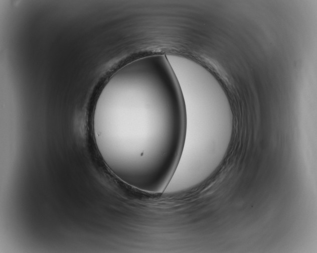 X0000099450540200805090729