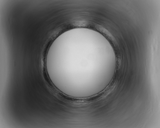 X0000099450541200805090729