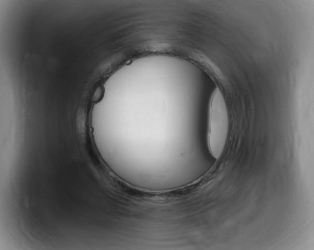 X0000099450542200805090729