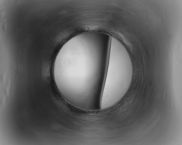 X0000099450543200805090729