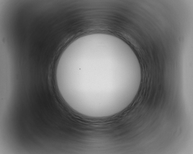 X0000099450544200805090729