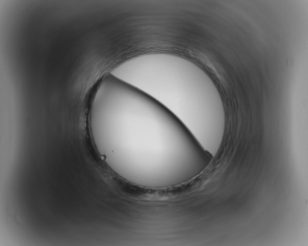 X0000099450545200805090729