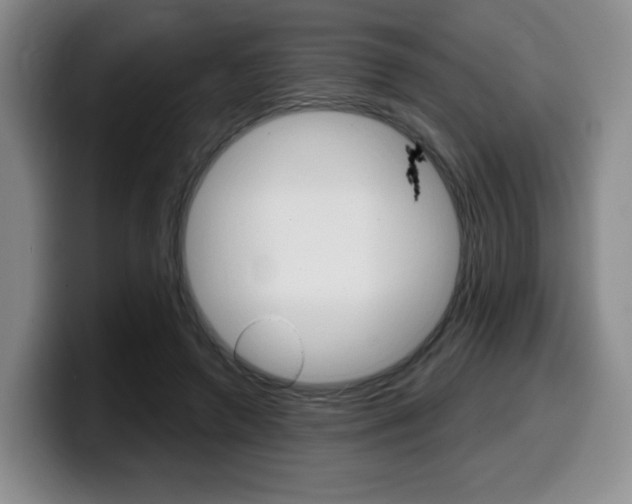 X0000099450546200805090729