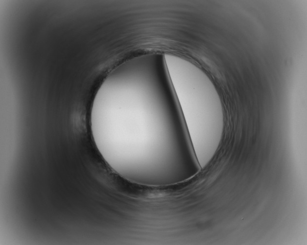 X0000099450547200805090729