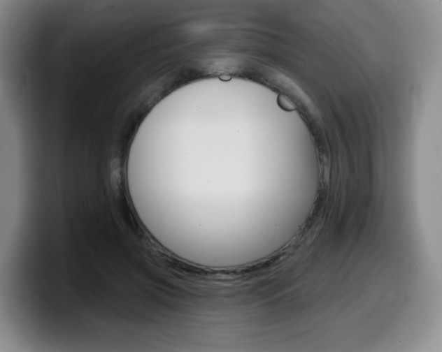 X0000099450549200805090729