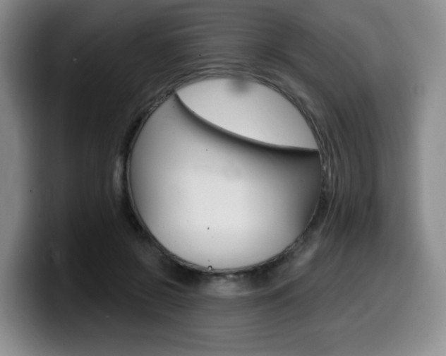 X0000099450550200805090729