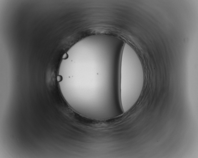X0000099450551200805090729