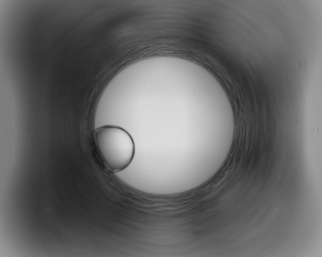 X0000099450552200805090729