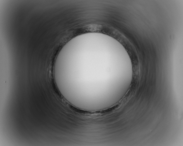 X0000099450553200805090729