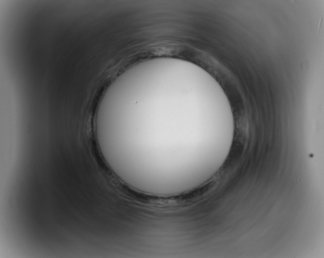 X0000099450554200805090729