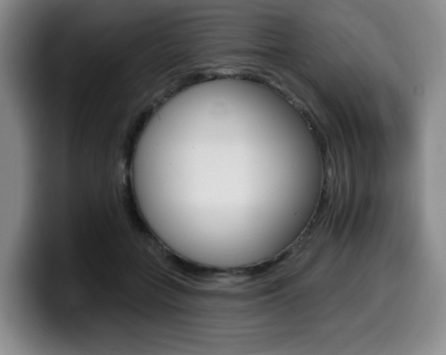 X0000099450555200805090729
