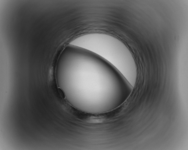 X0000099450556200805090729