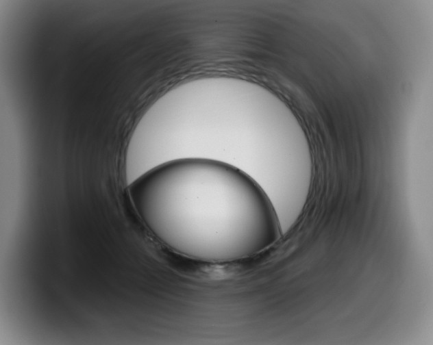 X0000099450558200805090729