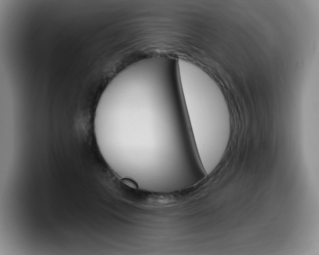 X0000099450559200805090729