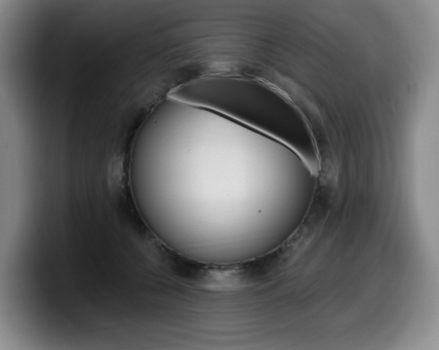 X0000099450560200805090730