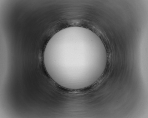X0000099450561200805090730