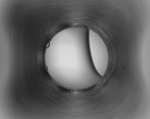 X0000099450565200805090730