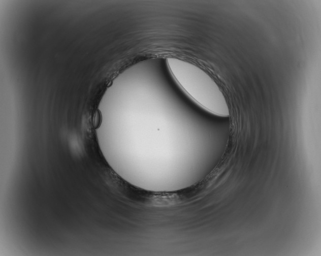 X0000099450571200805090730