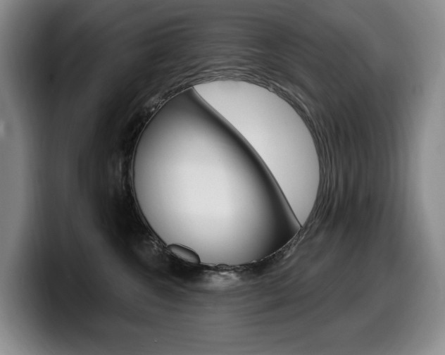 X0000099450572200805090730