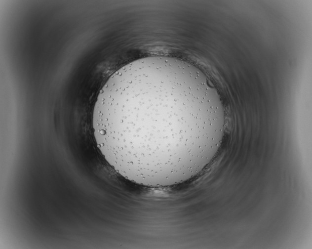 X0000099450573200805090730